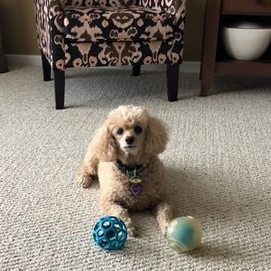 Meet your Posher, Cindy